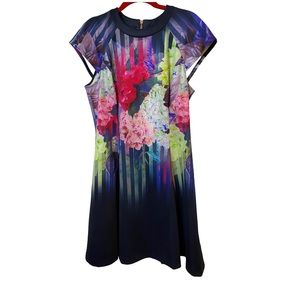 Ted Baker beautiful dress size 4 which is like a M